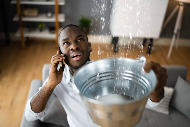 Best Emergency water damage restoration  in Mount Pleasant, MI
