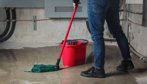 Best Basement water damage restoration  in Mount Pleasant, MI