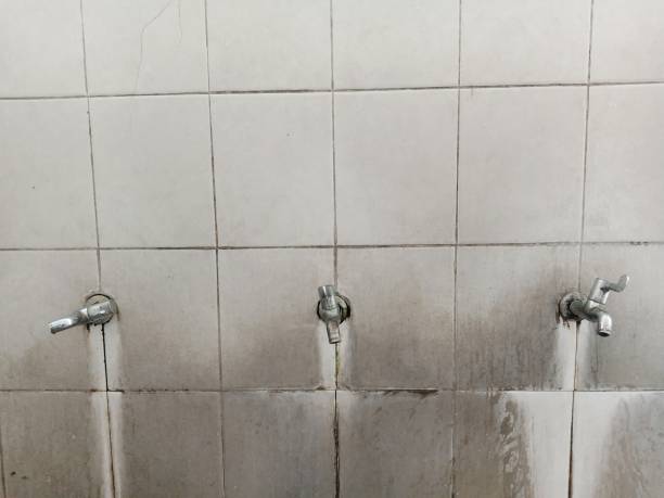 Best Carpet water damage restoration  in Mount Pleasant, MI