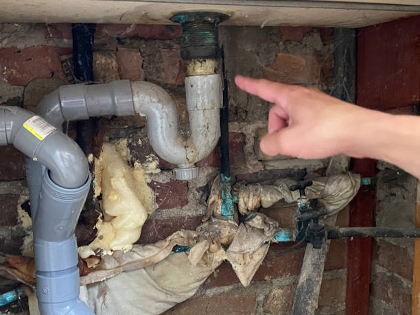Reliable Mount Pleasant, MI Water damage restoration Solutions