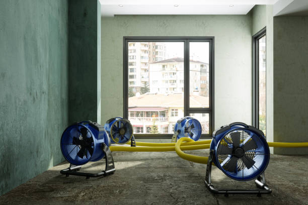 Best Ceiling water damage repair  in Mount Pleasant, MI
